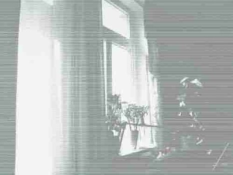 DSCN2624.jpg