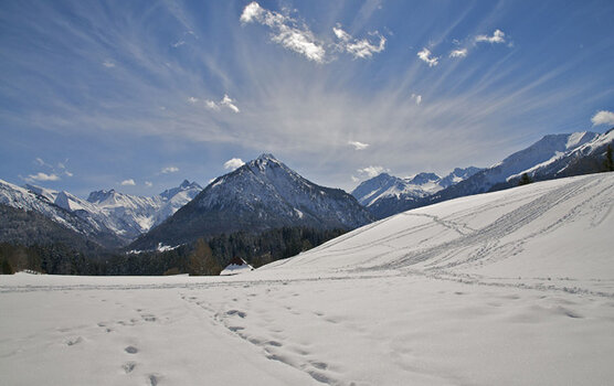Oberstdorf_22-03-2008_096_übersicht.jpg