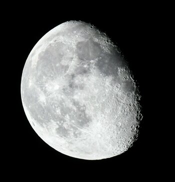 DSC_0395~2.JPG