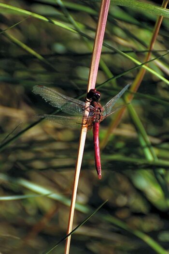 S5-test-5.jpg