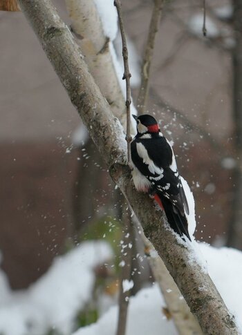 DSC_3255_x.jpg