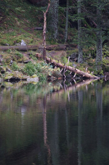 DSCF4985.jpg