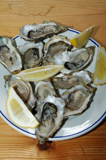 Bretagne2008443.jpg