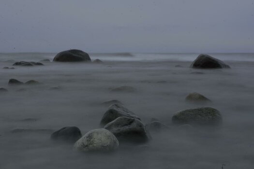 _DSC3725.jpg