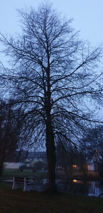 20191126_072637.jpg