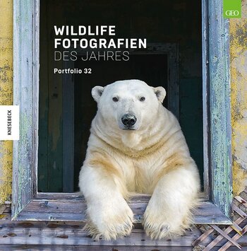 Ein entspannt wirkender Eisbär schaut aus einem Fenster mit Holzrahmen heraus direkt in die Kamera, beide Vorderpfoten auf den Fenstersims gelegt. Coverbild des Buches Wildlife Fotografien des Jahres – Portfolio 32