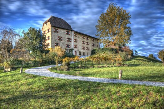 Foto 1 Schloss Amberg am 06.11.2023_DSC0389And12more_Malerisch 2_resized.jpg