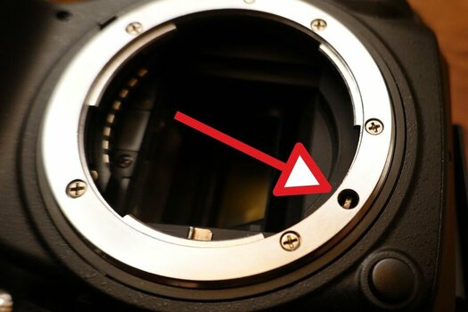 nikon.JPG