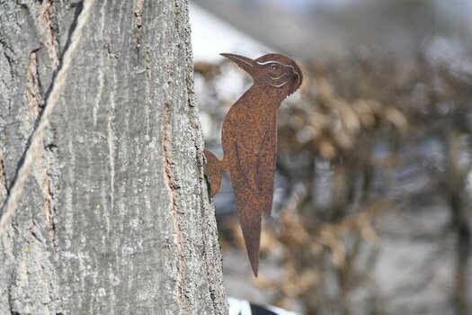 _DSC0022-a.jpg