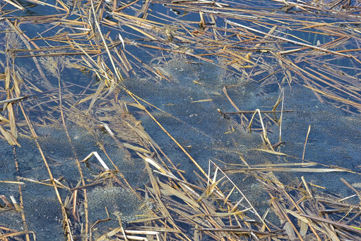DSC_5769.f.jpg