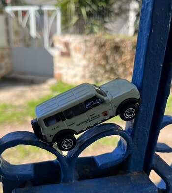 IMG_6935.jpeg