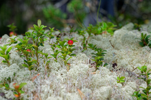 DSC_0170_DxO2025.jpg