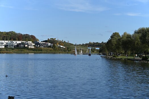 85-9.jpg