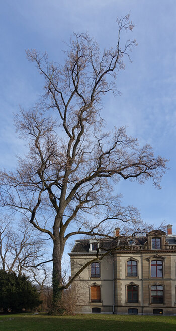 DSC08613.F.2.jpg