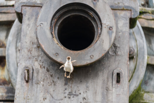 S-18.jpg