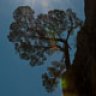 diderot11