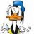 polly11