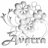 Avarra