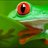 fred-the-frog