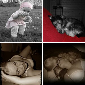 bearbeitete Bilder