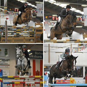 Reitsport