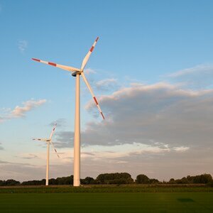 Landschaft