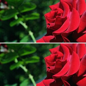 Blumen