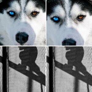 Tiere / Zoo