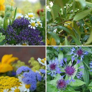 Blumen