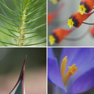 Botanischer Garten