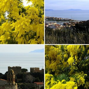 Maremma 09