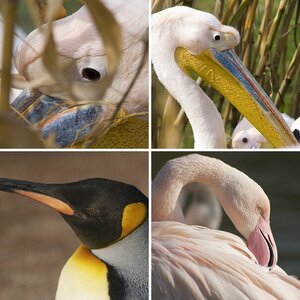 Zoo Basel