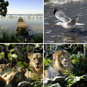 Natur und Tiere