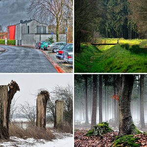 Bilder II