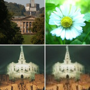Grieselbilder