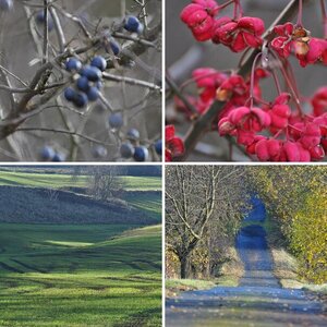 natur