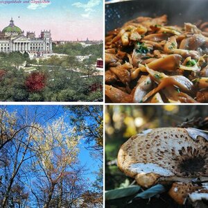Berlin und Prenzelberg