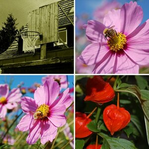 erste Bilder
