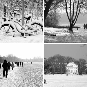 Winter 2010 SW