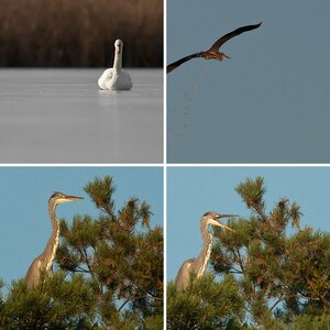 Fränkische Weiher