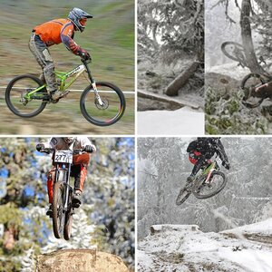 Downhill 2008