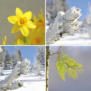 Natur