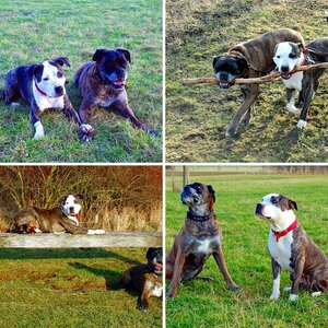Aischa und Draga
