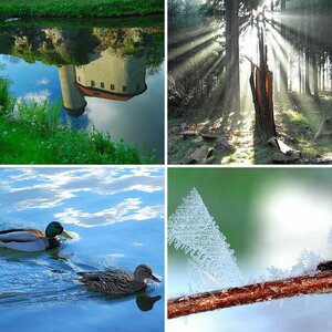 Natur