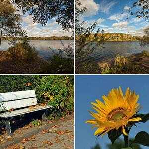 Ruhrpott-Linse_Natur