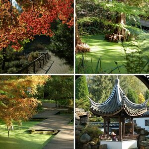 BOtanischer Garten