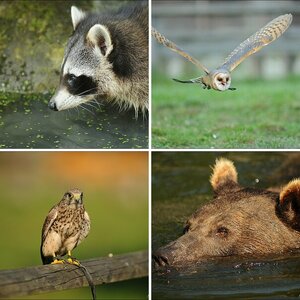 Werners Bilder