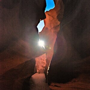 Antelope