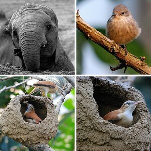Zoo Wuppertal