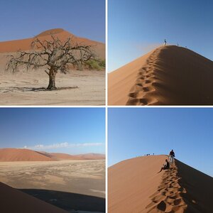 Namibia 2008